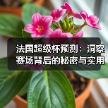 法国超级杯预测：洞察赛场背后的秘密与实用技巧