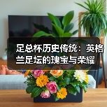 足总杯历史传统：英格兰足坛的瑰宝与荣耀