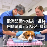 欧洲超级杯对决：谁将问鼎荣耀？2026年最新深度解析