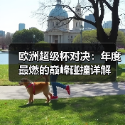 欧洲超级杯对决:年度最燃的巅峰碰撞详解 欧洲超级杯对决:年度最燃的巅峰碰撞详解