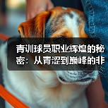 青训球员职业辉煌的秘密：从青涩到巅峰的非凡蜕变