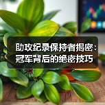 助攻纪录保持者揭密:冠军背后的绝密技巧 助攻纪录保持者揭密:冠军背后的绝密技巧