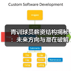 青训球员薪资结构揭秘：未来方向与潜在破解之道