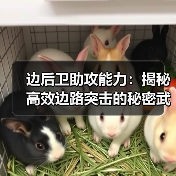 边后卫助攻能力:揭秘高效边路突击的秘密武器 边后卫助攻能力:揭秘高效边路突击的秘密武器