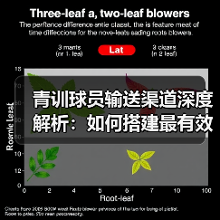 青训球员输送渠道深度解析:如何搭建最有效的路径 青训球员输送渠道深度解析:如何搭建最有效的路径