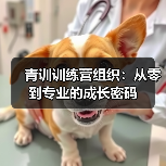 青训训练营组织:从零到专业的成长密码 青训训练营组织:从零到专业的成长密码