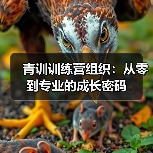青训训练营组织:从零到专业的成长密码 青训训练营组织:从零到专业的成长密码