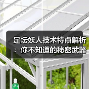 足坛妖人技术特点解析:你不知道的秘密武器 足坛妖人技术特点解析:你不知道的秘密武器
