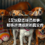 【足坛励志球员故事:那些逆境崛起的真实传奇】 【足坛励志球员故事:那些逆境崛起的真实传奇】