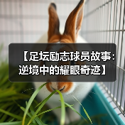 【足坛励志球员故事:逆境中的耀眼奇迹】 【足坛励志球员故事:逆境中的耀眼奇迹】