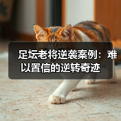 足坛老将逆袭案例：难以置信的逆转奇迹