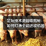 足坛技术流前锋揭秘：如何打造全能进攻机器