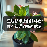 足坛技术流前锋特点：你不知道的秘密武器