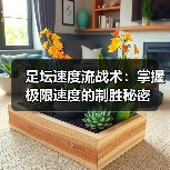 足坛速度流战术:掌握极限速度的制胜秘密 足坛速度流战术:掌握极限速度的制胜秘密