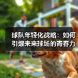 球队年轻化战略:如何引爆未来球场的青春力量 球队年轻化战略:如何引爆未来球场的青春力量