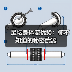 足坛身体流优势:你不知道的秘密武器 足坛身体流优势:你不知道的秘密武器