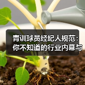 青训球员经纪人规范：你不知道的行业内幕与实操技巧
