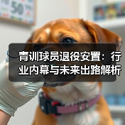 青训球员退役安置:行业内幕与未来出路解析 青训球员退役安置:行业内幕与未来出路解析