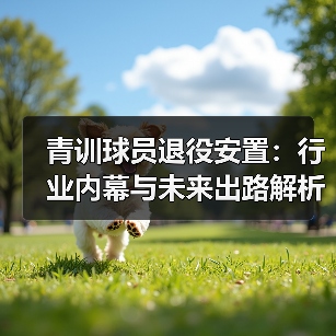 青训球员退役安置:行业内幕与未来出路解析 青训球员退役安置:行业内幕与未来出路解析