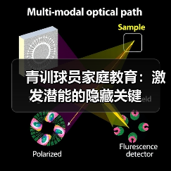 青训球员家庭教育：激发潜能的隐藏关键