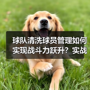 球队清洗球员管理如何实现战斗力跃升？实战策略全解析