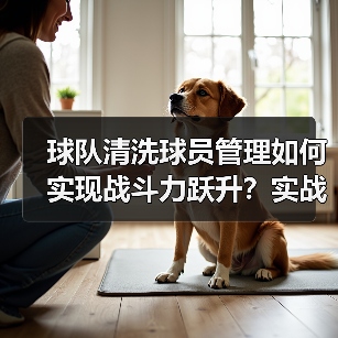 球队清洗球员管理如何实现战斗力跃升？实战策略全解析