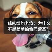 球队续约老将：为什么不是简单的合同续签？