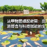 法甲财团崛起密码:资源整合与科技赋能的实战之道 法甲财团崛起密码:资源整合与科技赋能的实战之道