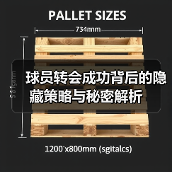 球员转会成功背后的隐藏策略与秘密解析 球员转会成功背后的隐藏策略与秘密解析