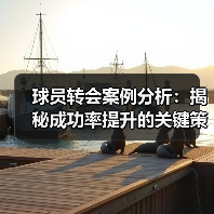 球员转会案例分析:揭秘成功率提升的关键策略 球员转会案例分析:揭秘成功率提升的关键策略