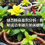 球员转会案例分析:揭秘成功率提升的关键策略 球员转会案例分析:揭秘成功率提升的关键策略