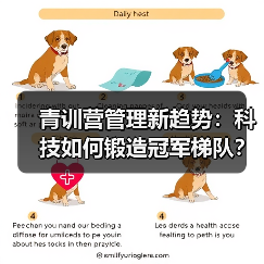 青训营管理新趋势：科技如何锻造冠军梯队？