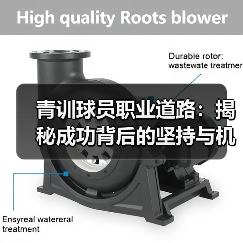 青训球员职业道路:揭秘成功背后的坚持与机遇 青训球员职业道路:揭秘成功背后的坚持与机遇