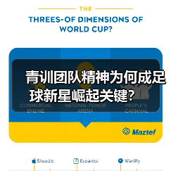 青训团队精神为何成足球新星崛起关键? 青训团队精神为何成足球新星崛起关键?