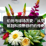 伯纳乌球场历史:从圣地到科技新标杆的传奇蜕变 伯纳乌球场历史:从圣地到科技新标杆的传奇蜕变