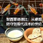 默西塞德德比:从硬朗防守到现代战术的世纪对决 默西塞德德比:从硬朗防守到现代战术的世纪对决