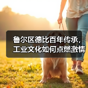 鲁尔区德比百年传承,工业文化如何点燃激情? 鲁尔区德比百年传承,工业文化如何点燃激情?