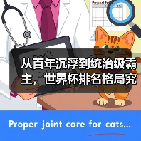 从百年沉浮到统治级霸主,世界杯排名格局究竟经历了什么? 从百年沉浮到统治级霸主,世界杯排名格局究竟经历了什么?